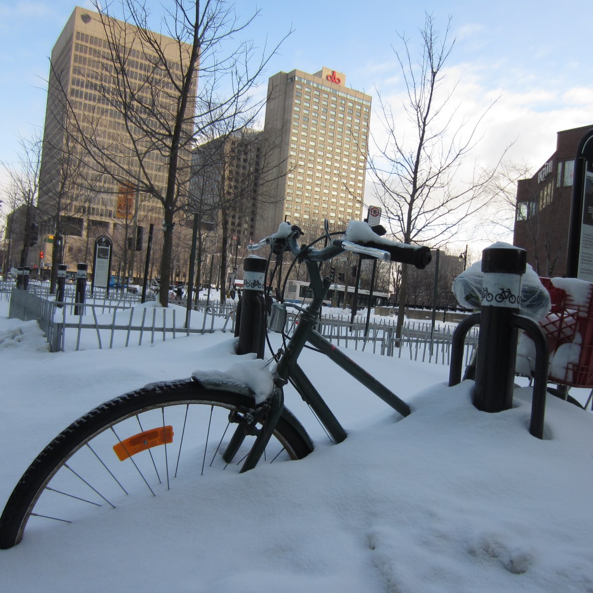 Experiencing snow for the first time in&nbsp;Montreal