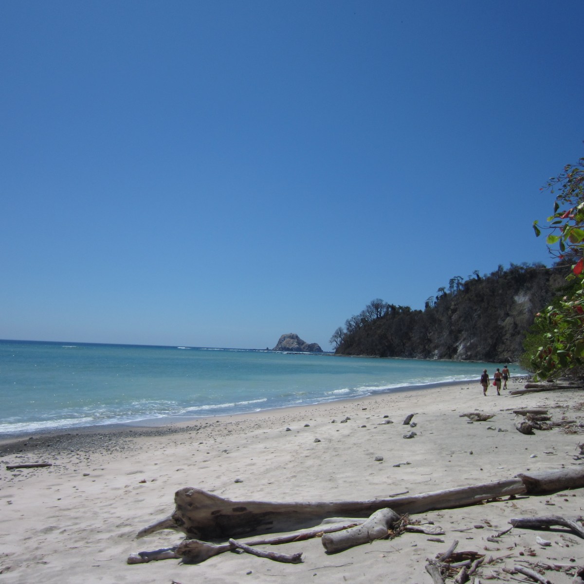 Costa Rica’s quiet paradise, Cabo Blanco Nature&nbsp;Reserve