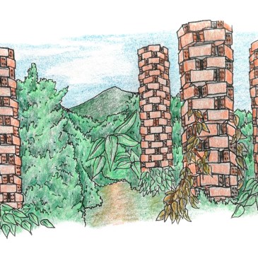 Sketch of a Kampot pepper farm in Cambodia