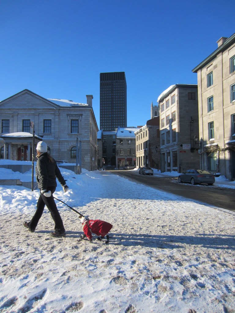 Dog walker winter jacket in old Montreal frozen streets