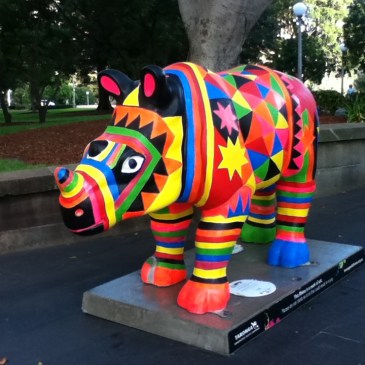 A sydney rhinoceros sculpture painted in bright colours