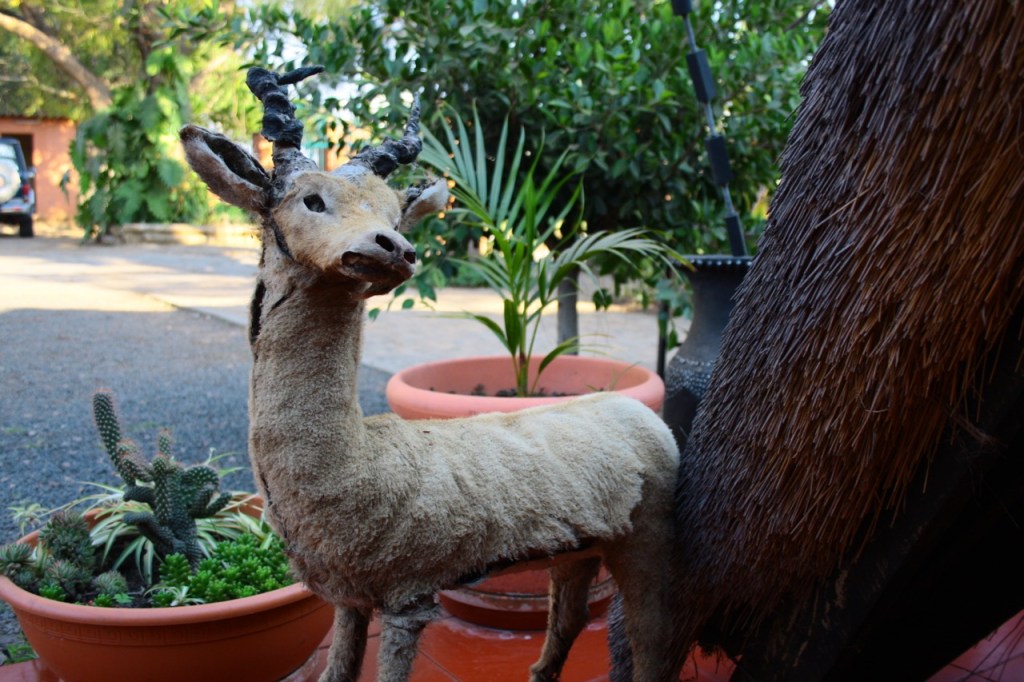 a terrible scary taxidermy animal