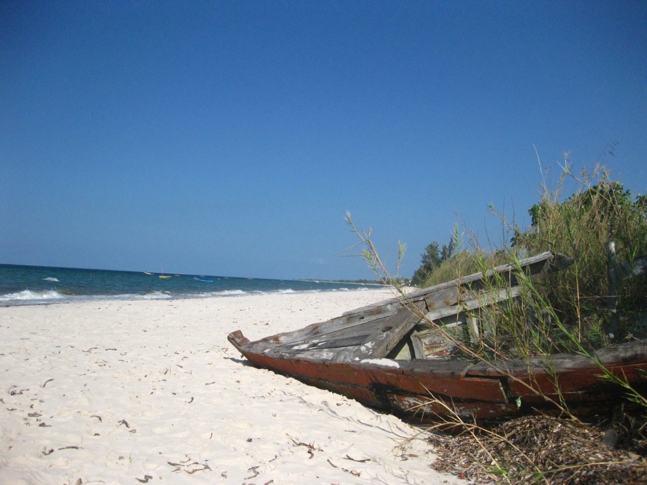 An old wooden boat covered in weeds on an african beach