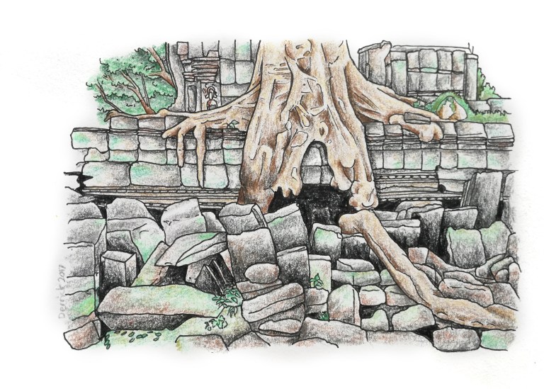 Sketch of ta prohm temple with an overgrown tree