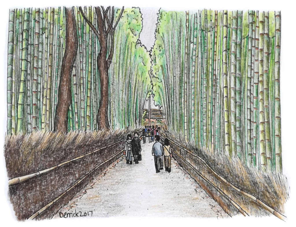 Drawing of the green bamboo forest at Arashiyama