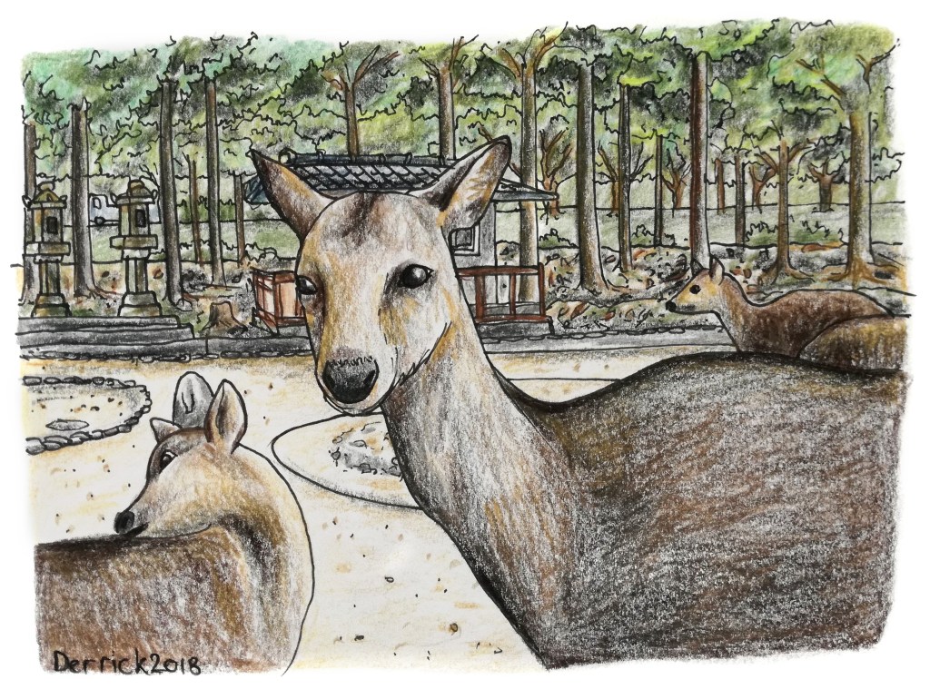A sketch of cute deer waiting for crackers from tourist in Nara