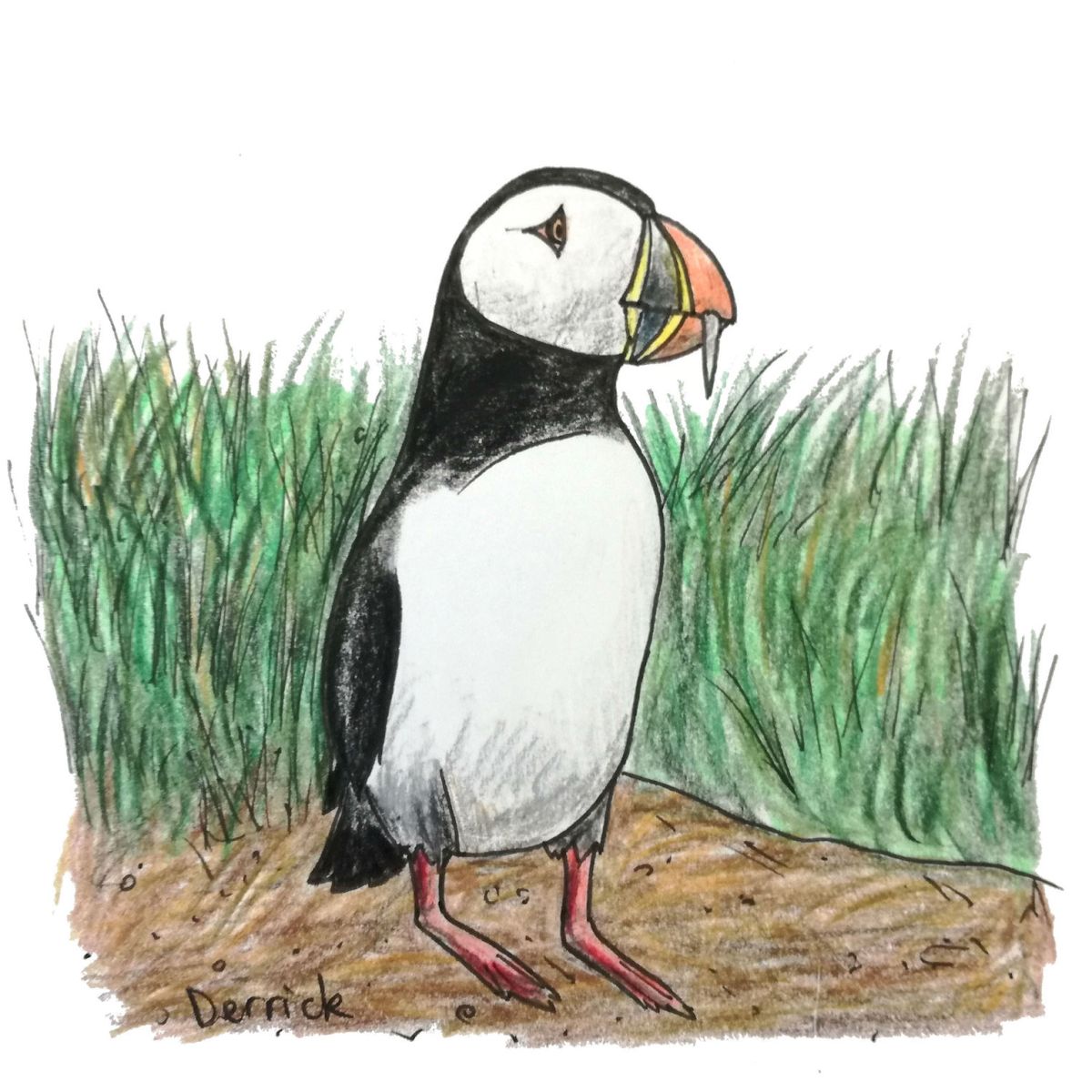 Where to visit puffins in&nbsp;Iceland