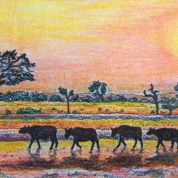 Pencil drawing of African national park with wildebeest silhouettes red sunset