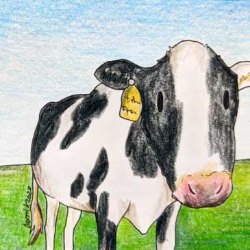 Drawing of a japanese cow standing in a field in Hokkaido