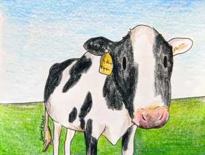 Drawing of a japanese cow standing in a field in Hokkaido