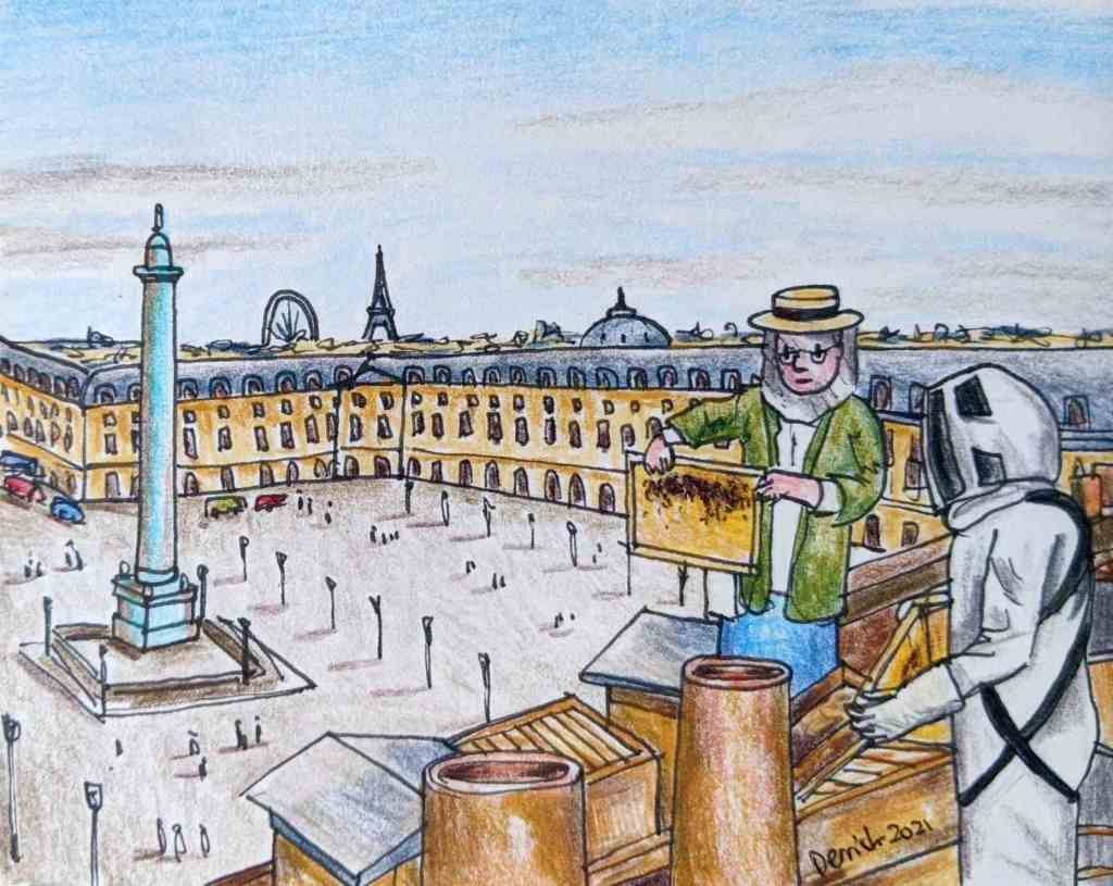 Drawing of a beekeeper on the rooftops of Paris