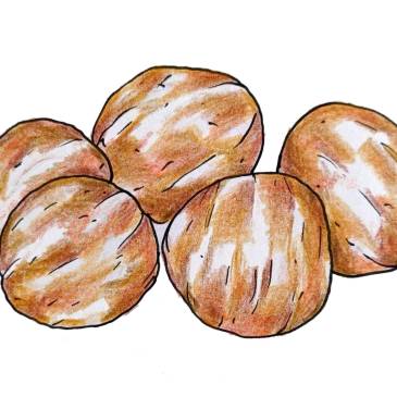 Traditional French sweet dessert marrons glacés glazed chestnuts