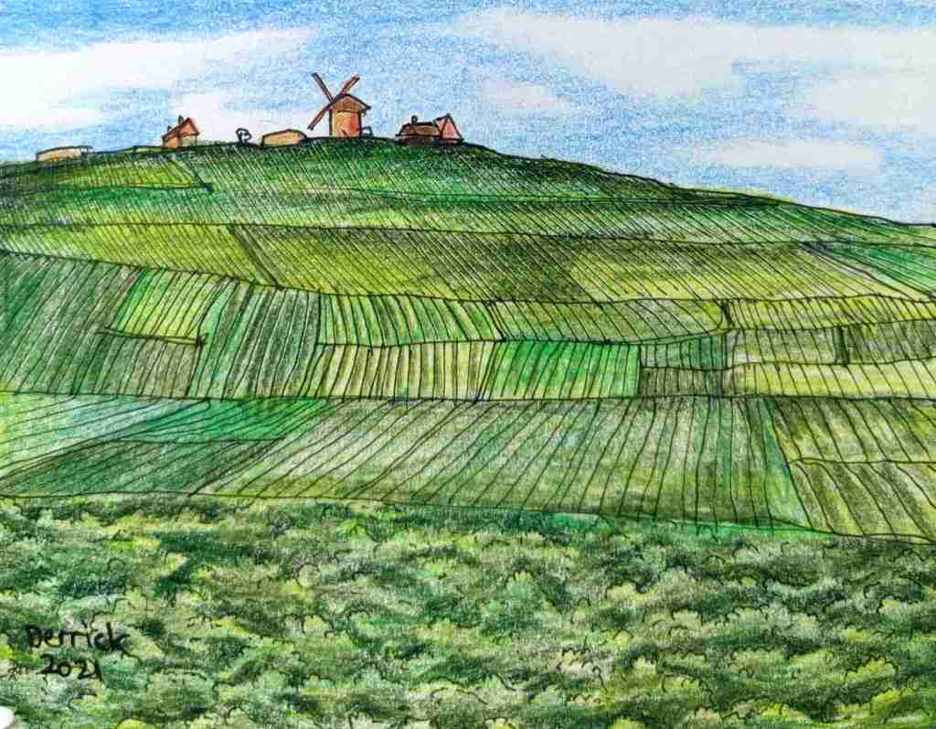 Illustration of grape fields in Champagne countryside