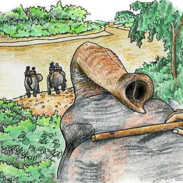 drawing of elephant rider in chiang mai thailand