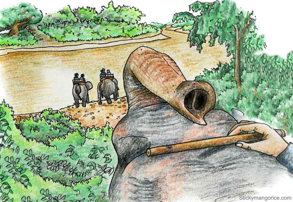 drawing of elephant rider in chiang mai thailand