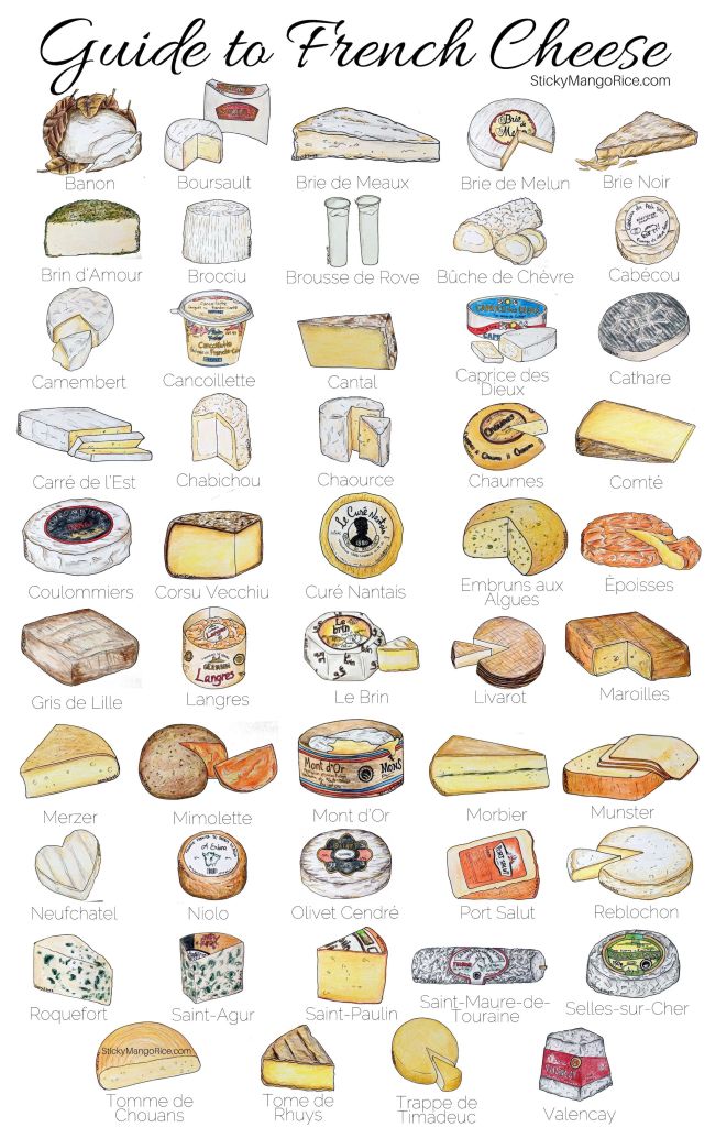 drawing of different types of french cheese